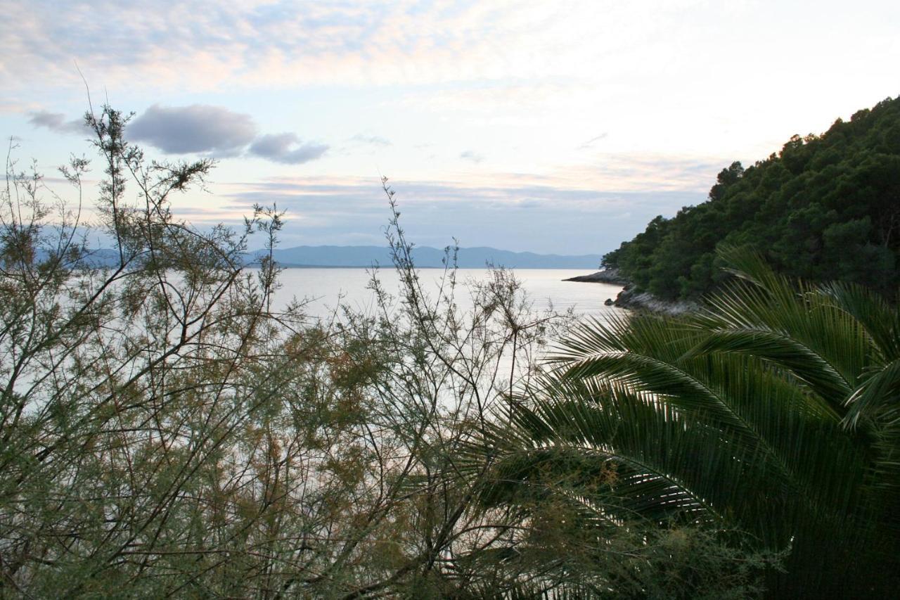 Seaside Secluded Apartments Cove Smokvina, Hvar - 4036 Bogomolje エクステリア 写真